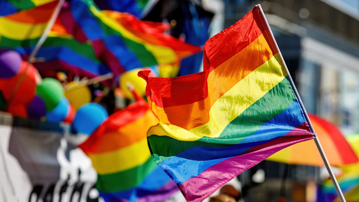 LGBTQ flag waves during parade