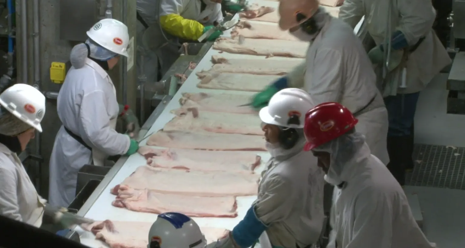 Screengrab from a video of a Tyson Foods pork processing facility